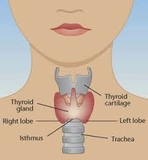 thyroidism