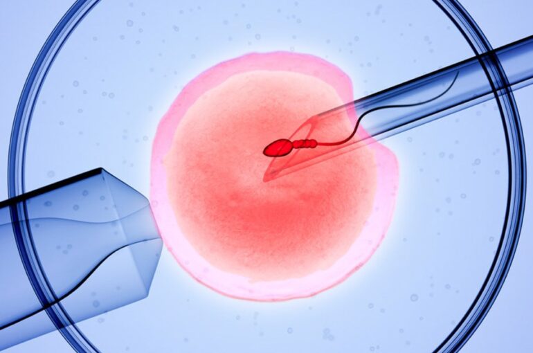 ivf factors