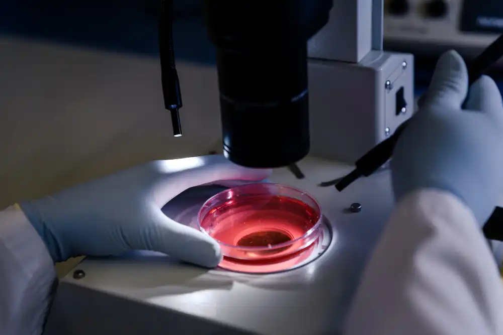 IVF Process - Nordica Fertility Centre - Top IVF Facility in Nigeria - Best IVF in Lagos, Asaba, Abuja